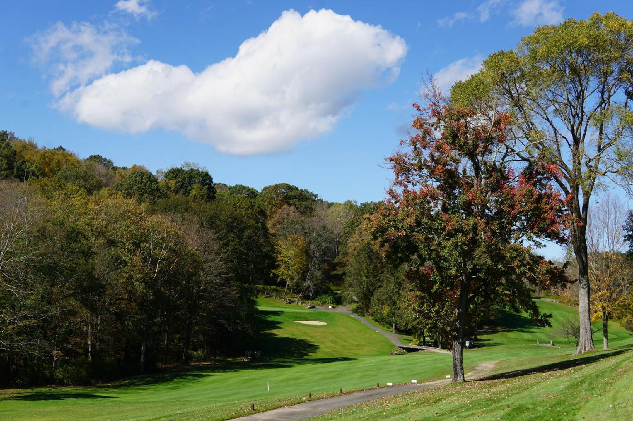 Five, a fine short par-4, doglegs to the left and concludes on a plateau green. (Photo submitted by AptlyLinked on 10/10/2023)