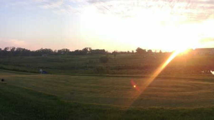 Bulrush GC: #7