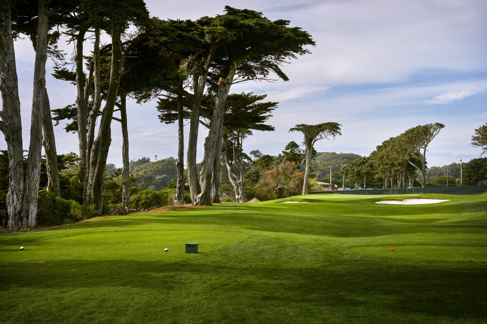 TPC Harding Park - hole 17