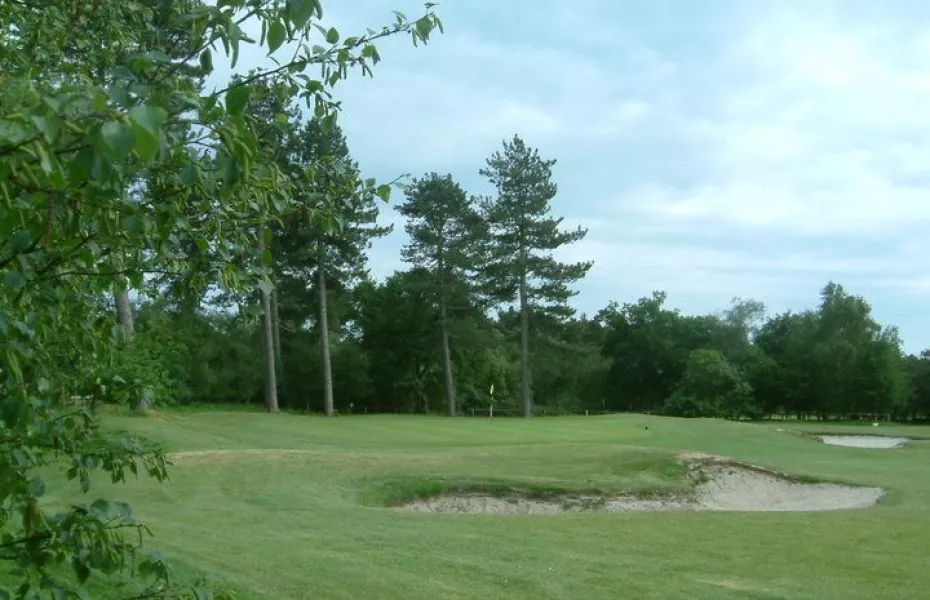 Moors Valley GC: #14