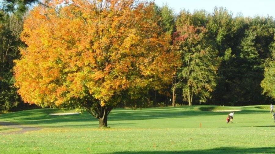 Ruggles GC