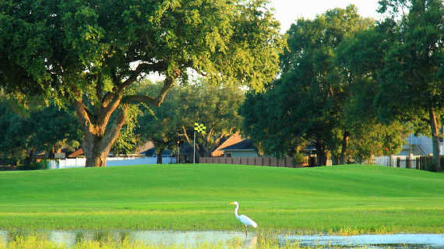 St. Mary GCC