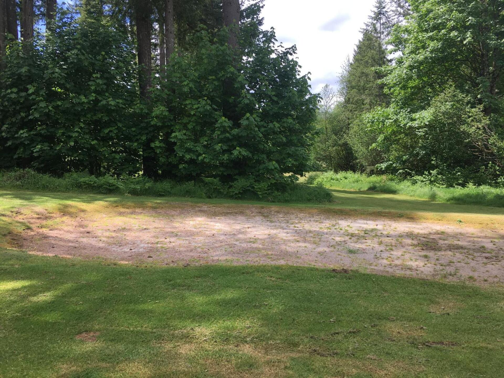 (Photo submitted by u668500199 on 06/06/2017)