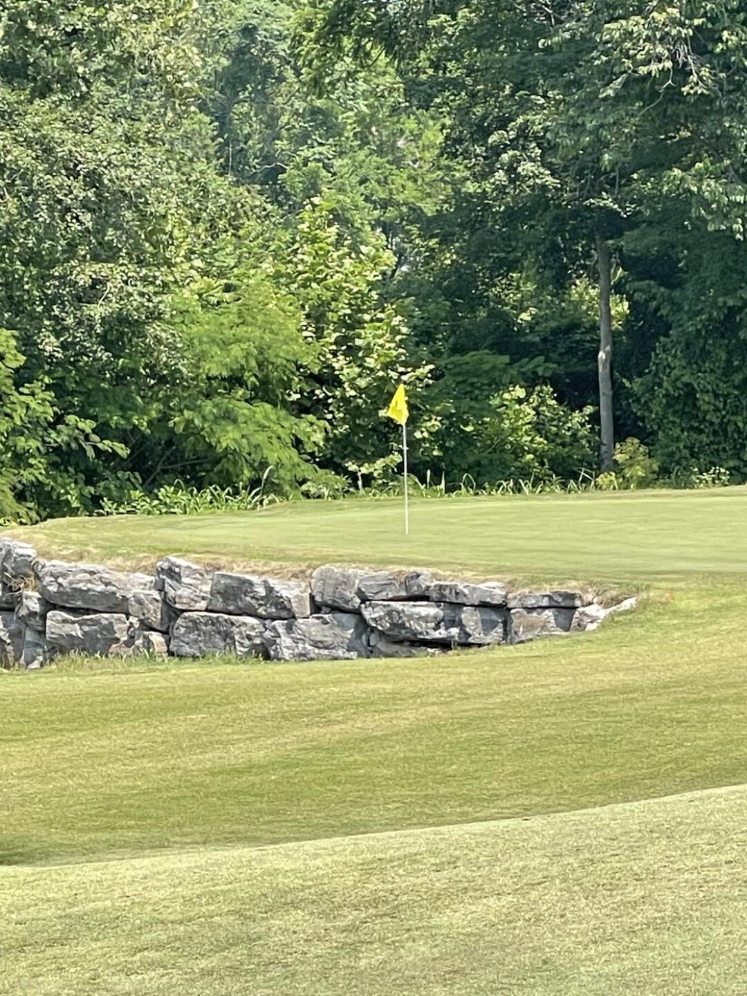 (Photo submitted by u314164082685 on 06/10/2023)