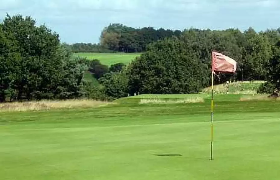 Delamere Forest GC: #12