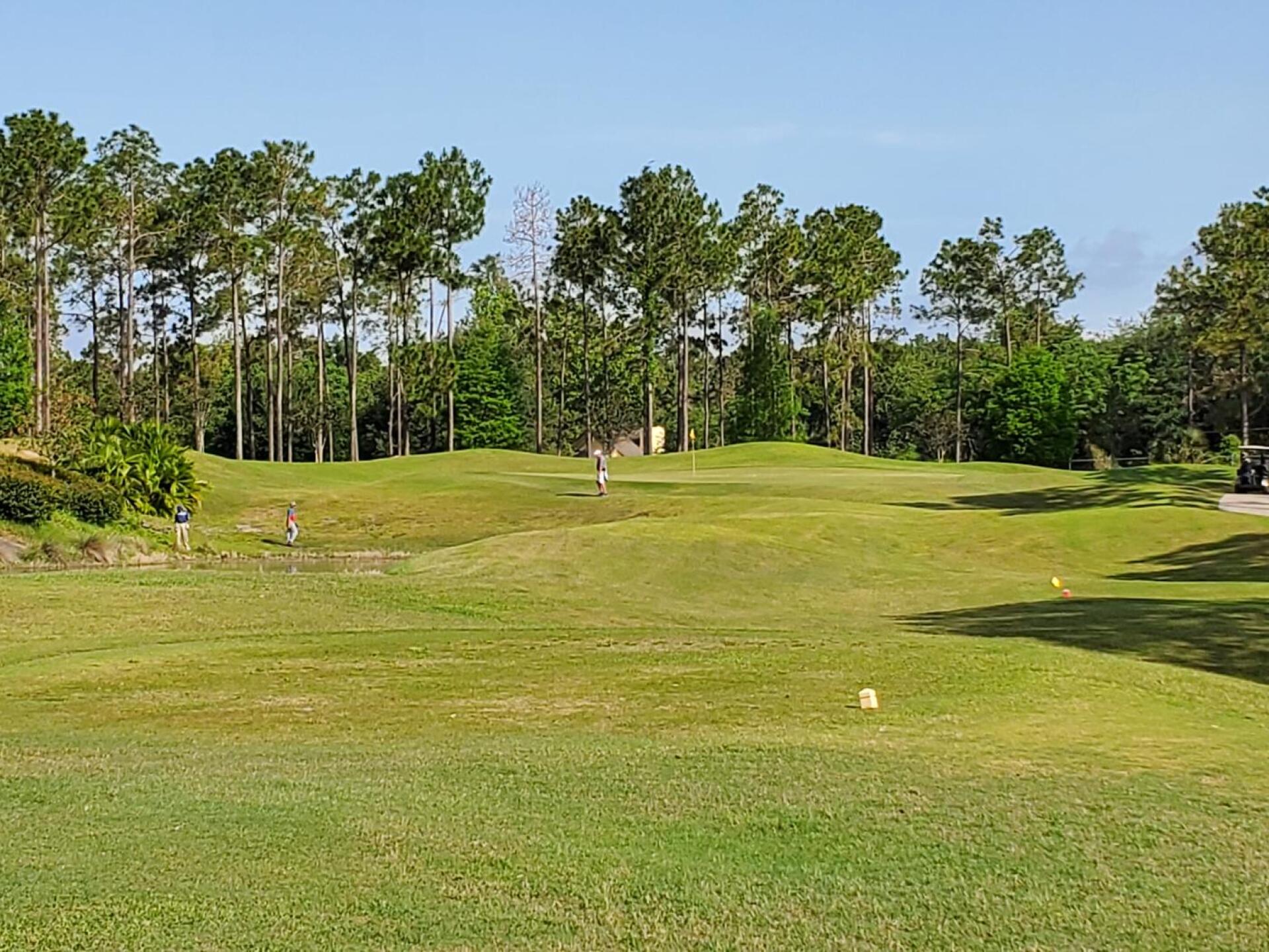 (Photo submitted by Christophe3886879 on 04/26/2020)