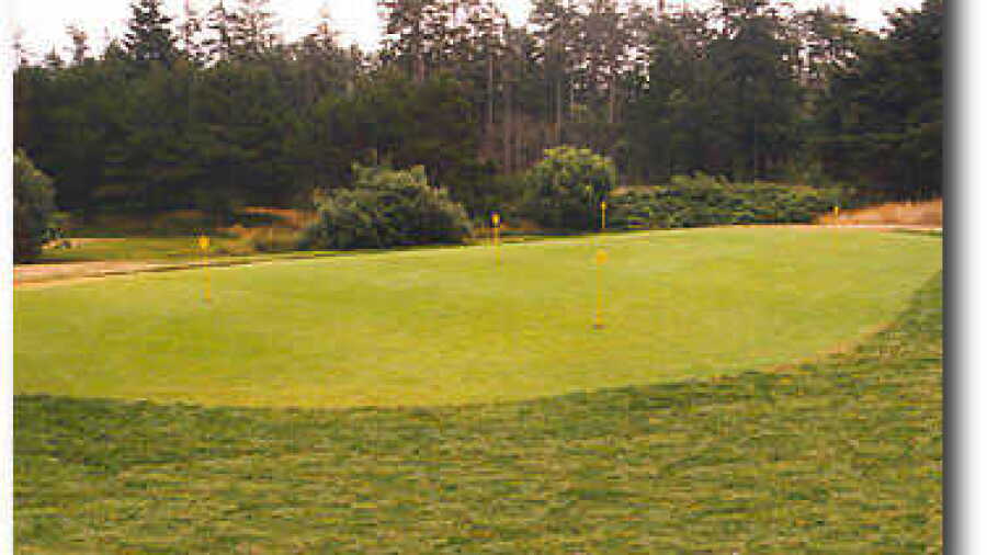 Manzanita Putting Green
