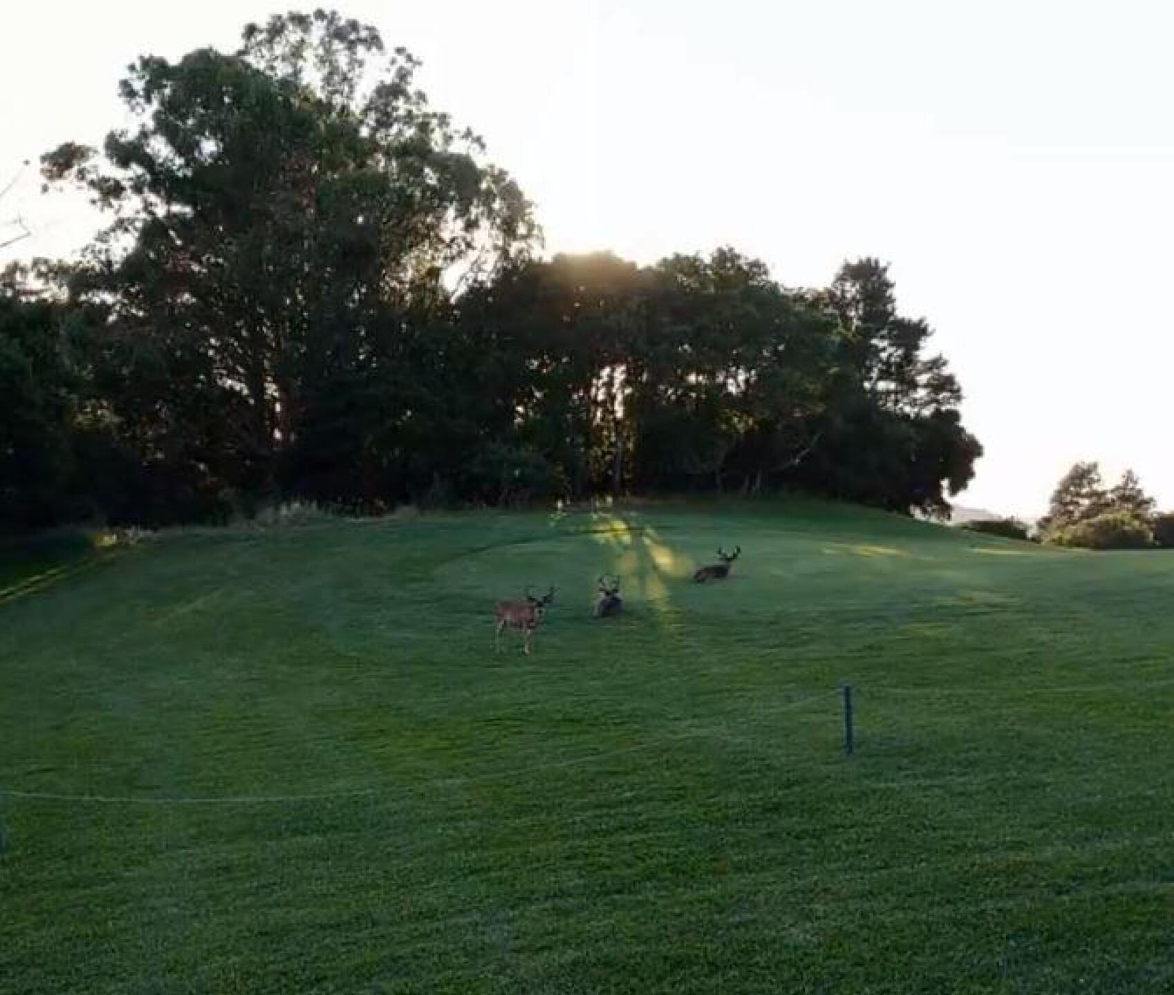 (Photo submitted by sorenj on 07/12/2019)