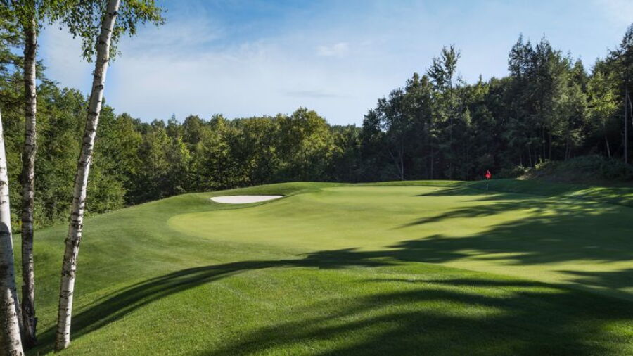 Mad River GC