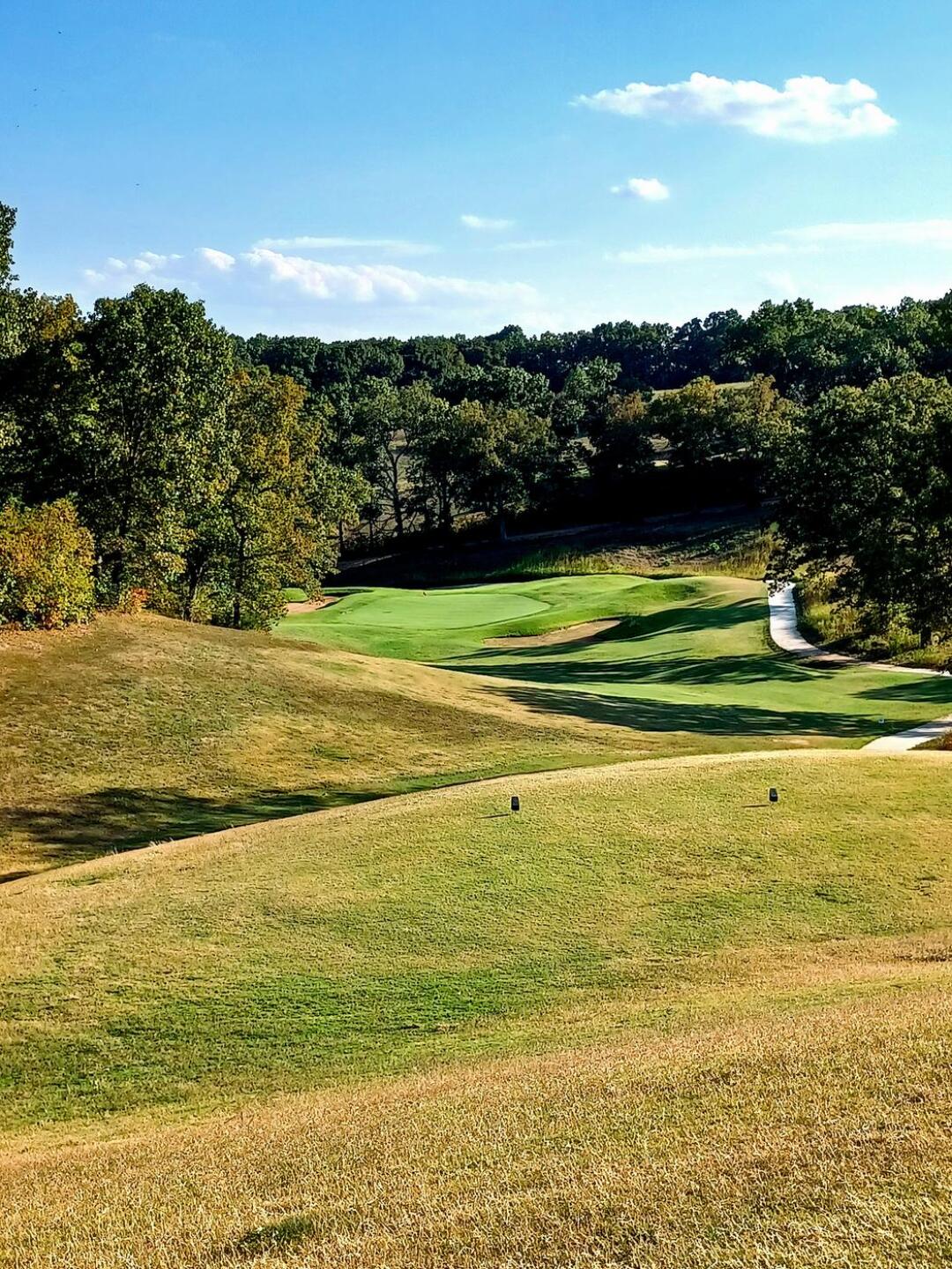 (Photo submitted by NPNVXKmmcaBbCItwaulk on 09/19/2024)