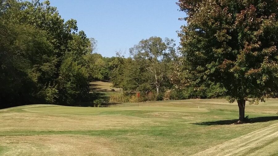 Orchards Executive GC