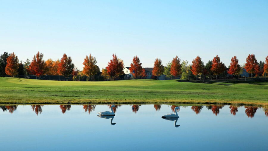 MeadowWood GC