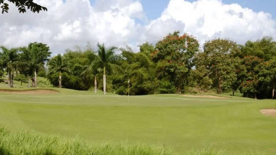 Las Bambuas GC: #9