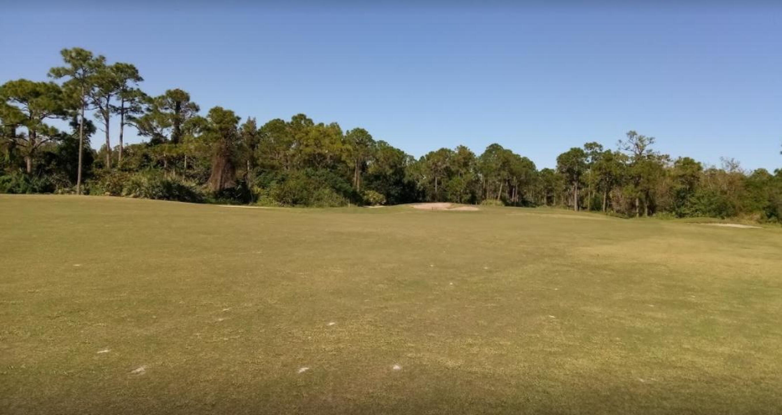Do you see any other golfers?? (Photo submitted by Nicks22 on 12/18/2019)