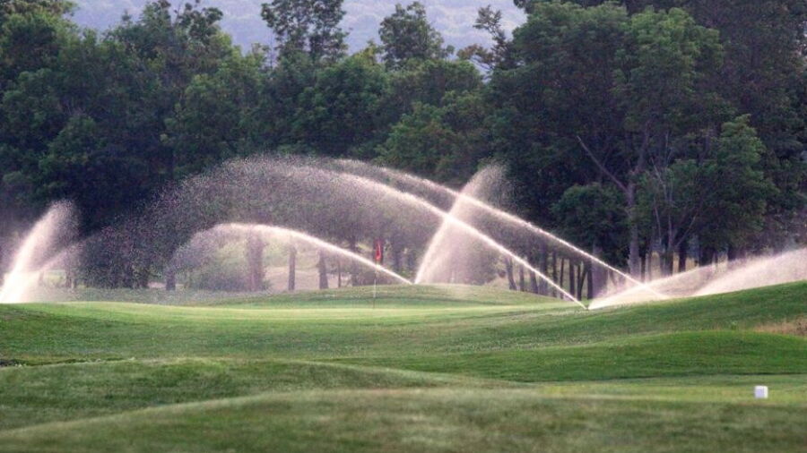Pine Grove CC