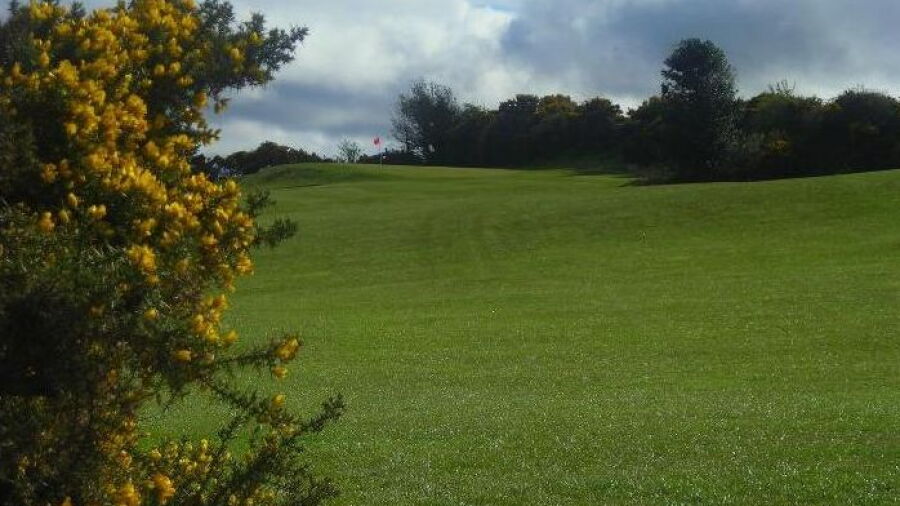 Hazel Grove GC: #5