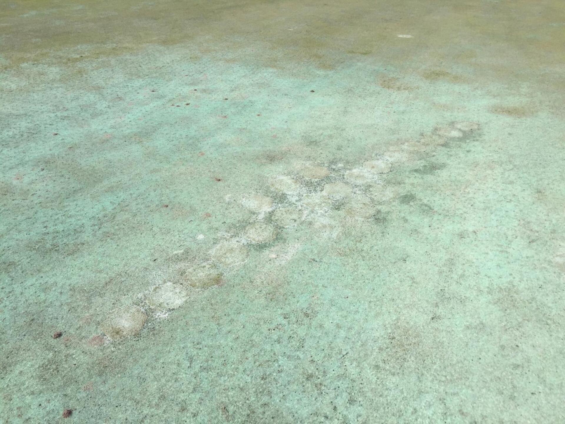 (Photo submitted by 54869965027 on 03/14/2016)