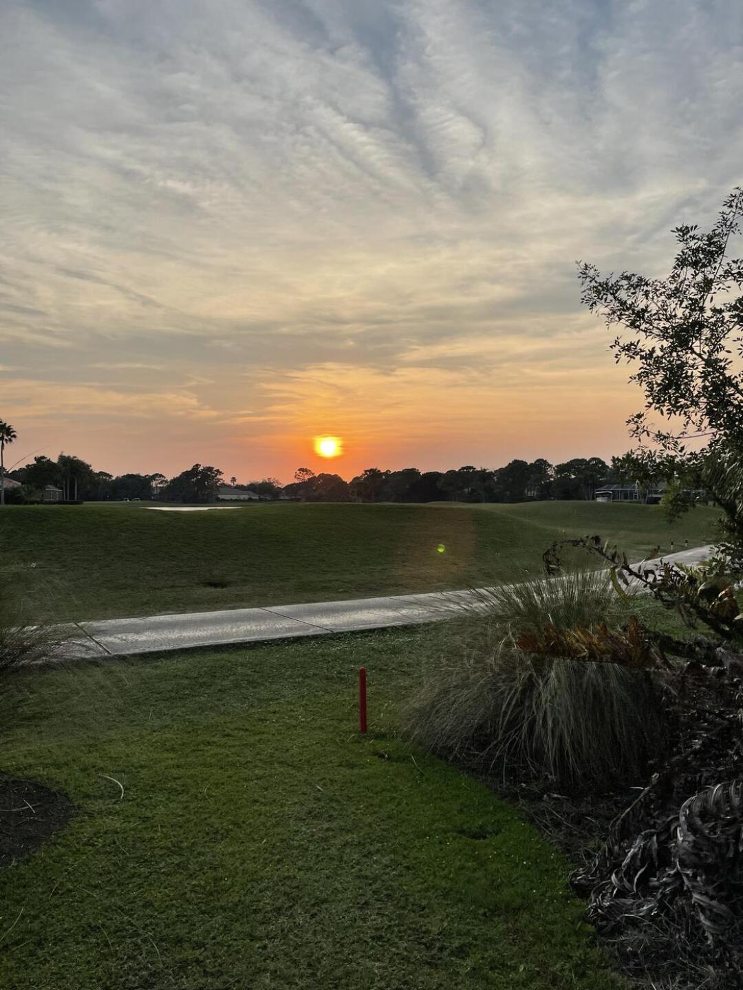 (Photo submitted by hornwall on 03/04/2023)