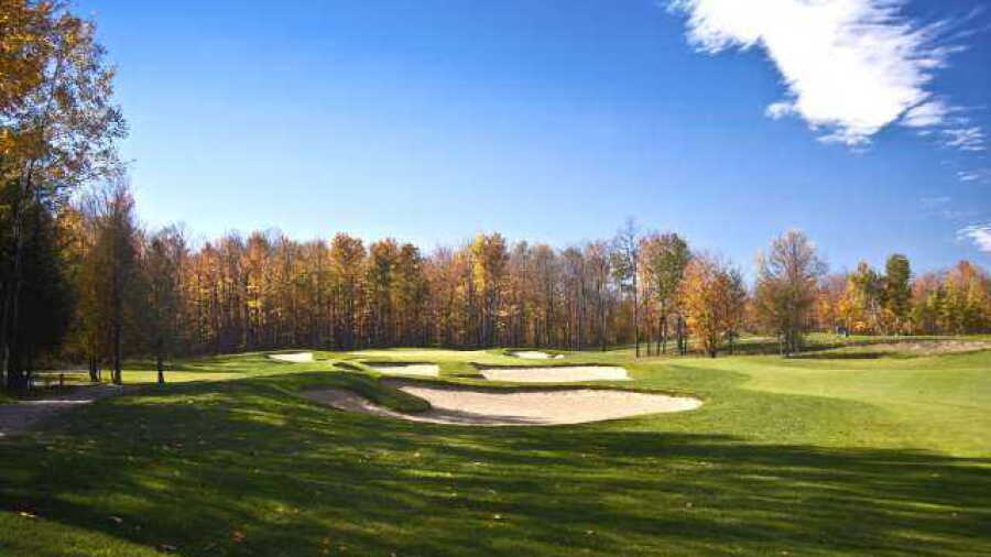 eQuinelle GC: #12