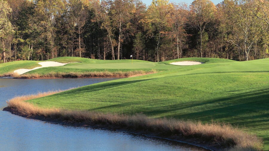 Regency At Dominion Valley CC: #12