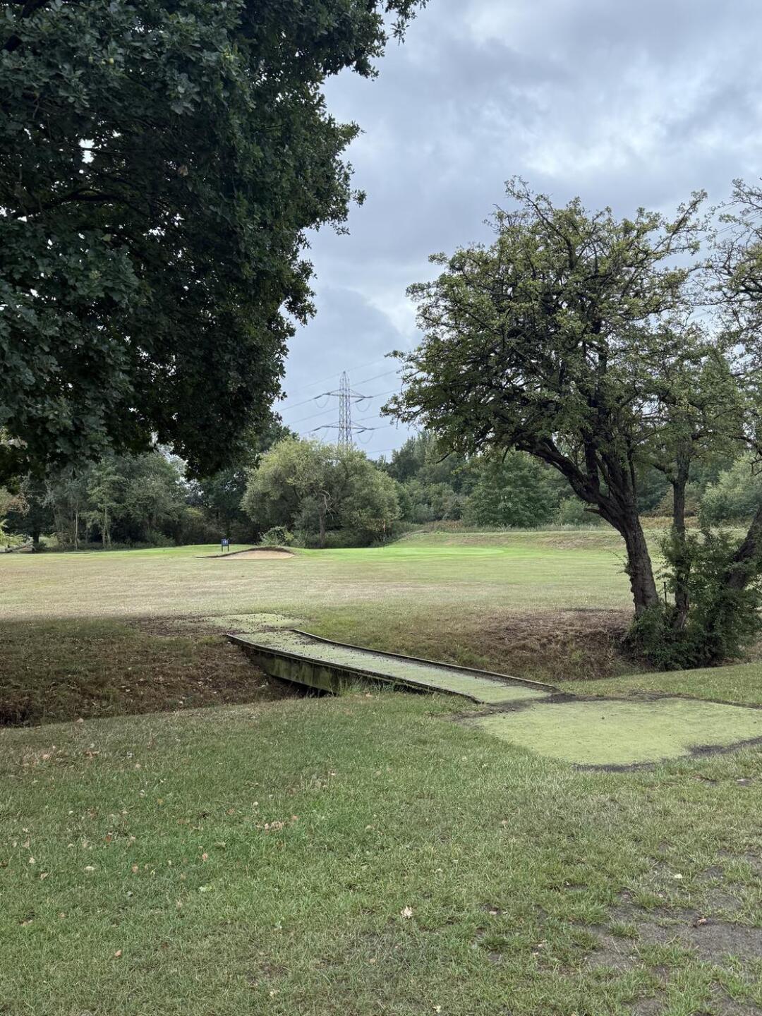 (Photo submitted by JackPorter76 on 09/11/2025)