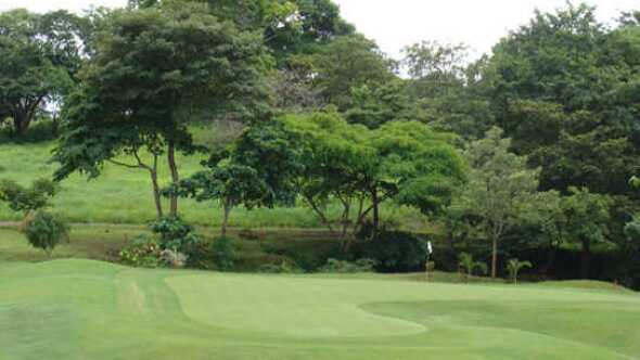 Papagayo GCC