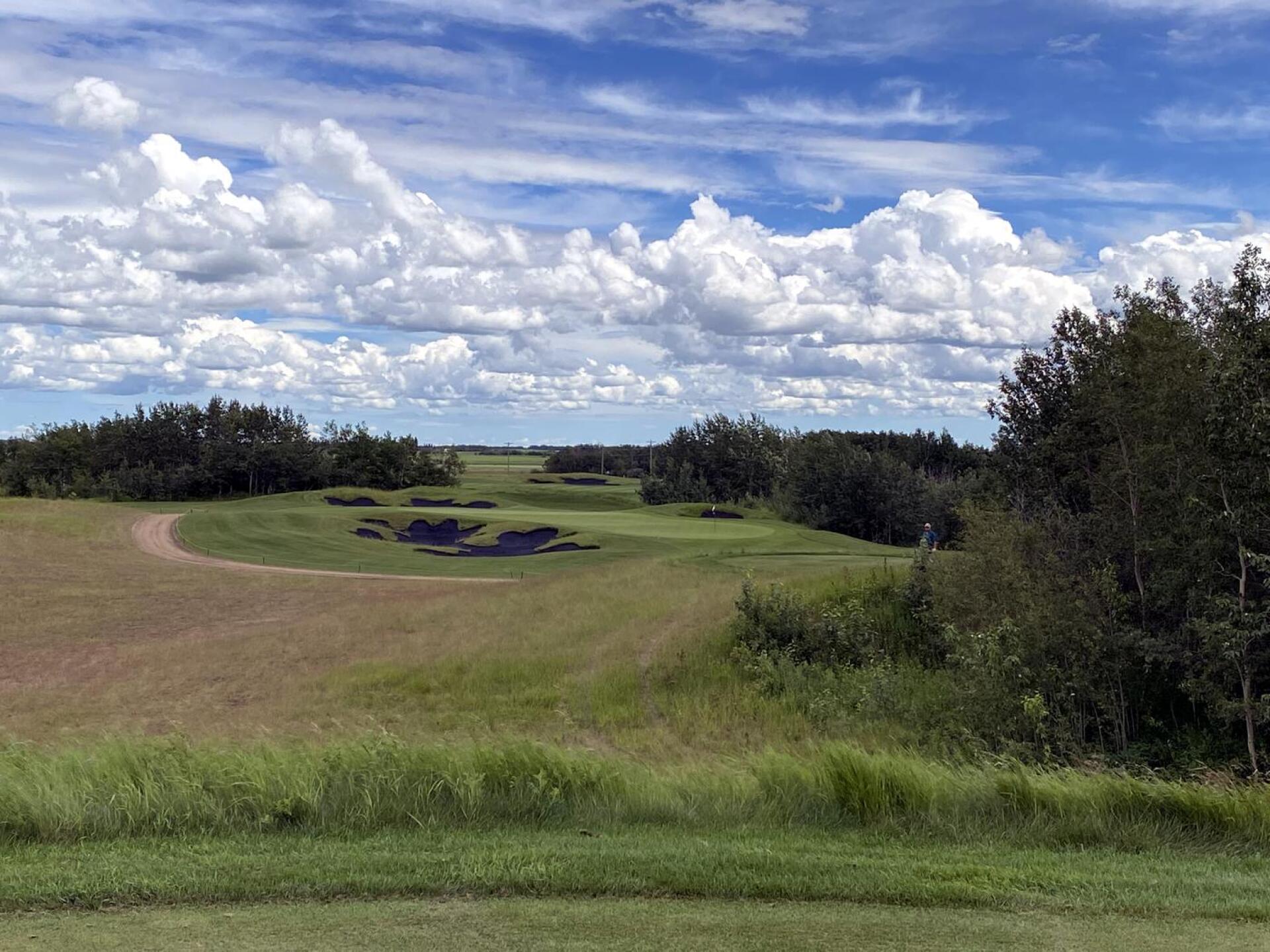 Coal Creek GC, Hole 13, Par 3, 169 yds, (Photo submitted by DYakimec on 08/03/2020)