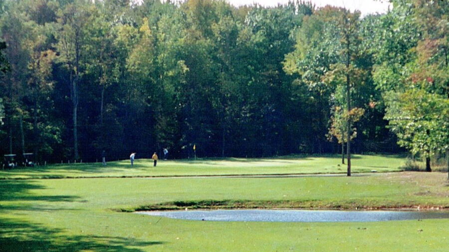 Hadley Acres: #12
