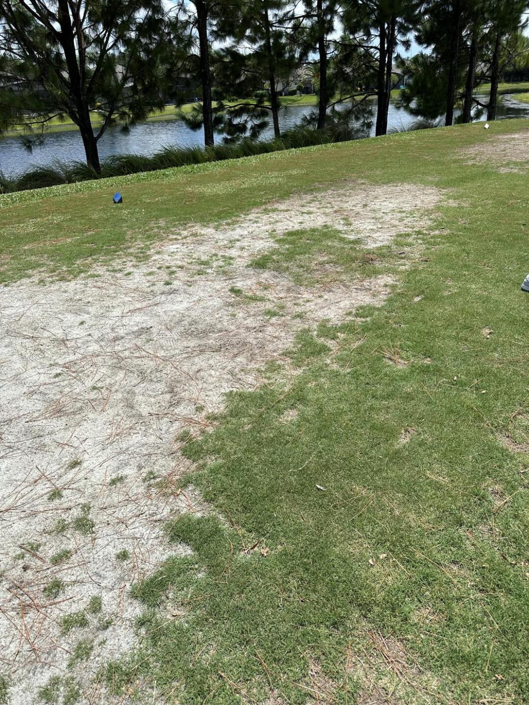 (Photo submitted by EsT1ybRn9nYin4ADGnVF on 08/11/2024)