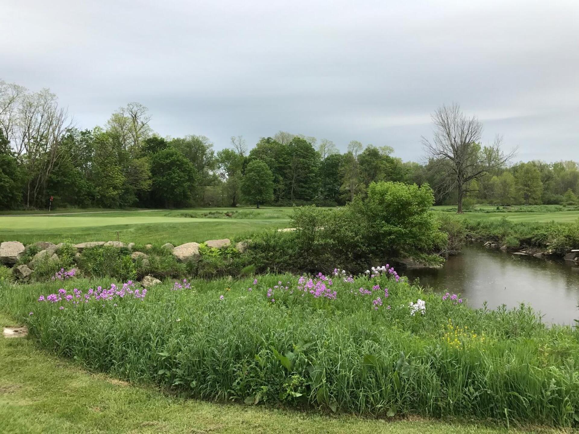 view of 12th green (Photo submitted by carolinadad on 05/21/2017)
