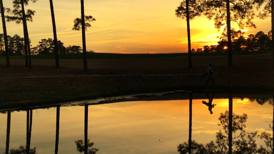 Ginella's Journeys: 2016 in Pictures - Pinehurst