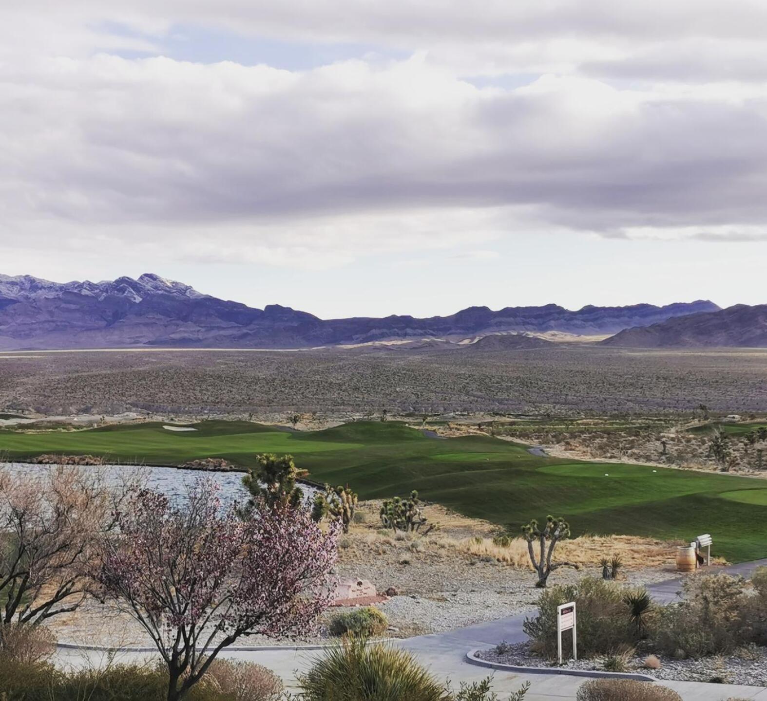 (Photo submitted by Zp9YdhTso2CHX5X26Mzn on 03/02/2020)