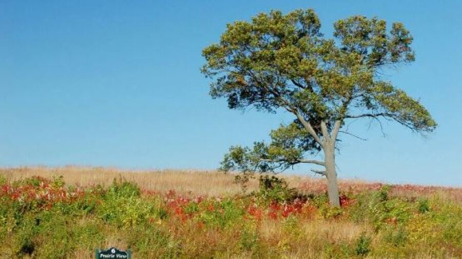 PrairieView Golf Course - no. 6
