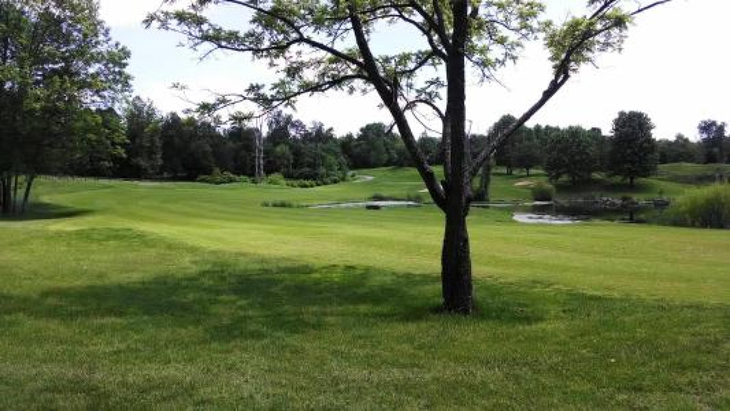 #8 East - scenic par 5 - 2nd or 3rd over water (Photo submitted by allenwolf on 05/24/2014)