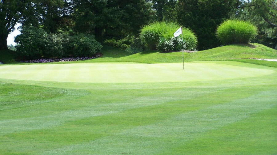Wildwood GCC: #9