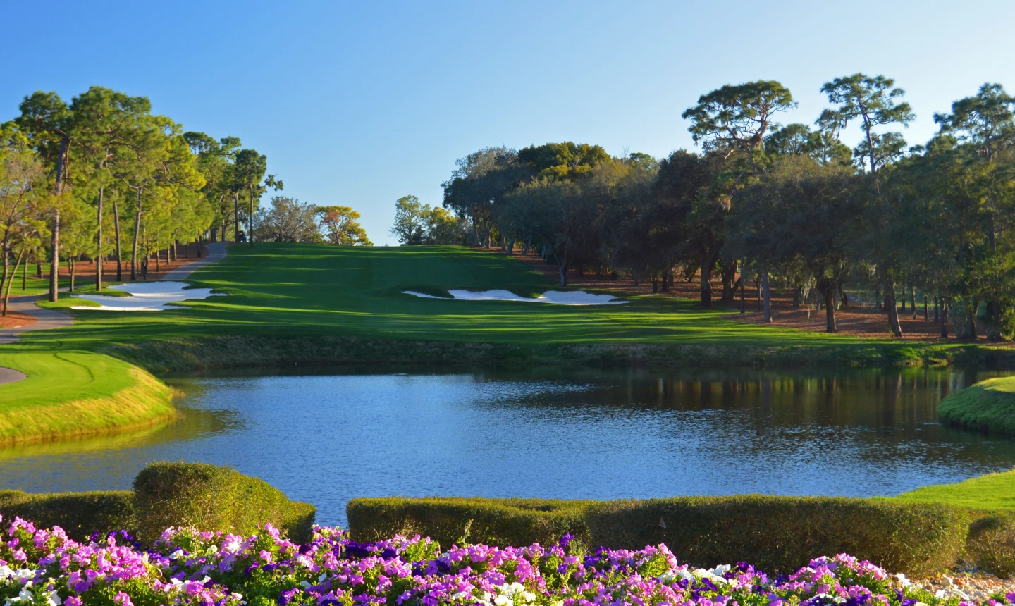 Copperhead golf course - Innisbrook Resort - no. 5