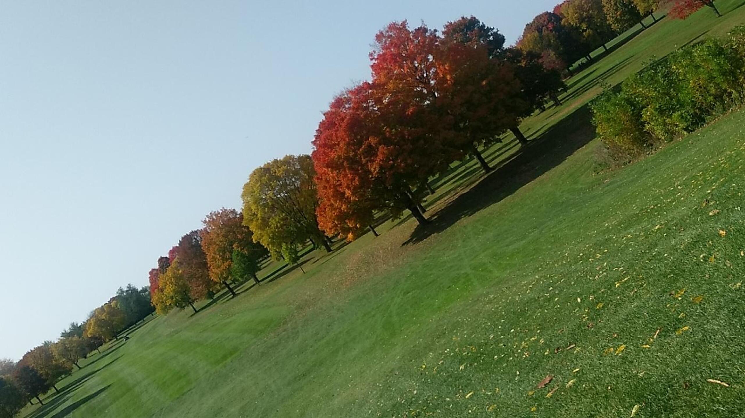 For some reason just had to take this on an angle (Photo submitted by DJSlider on 10/11/2020)