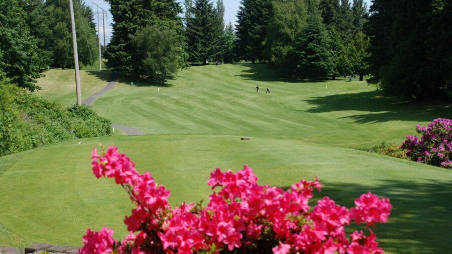 Meadowmeer GCC: #3