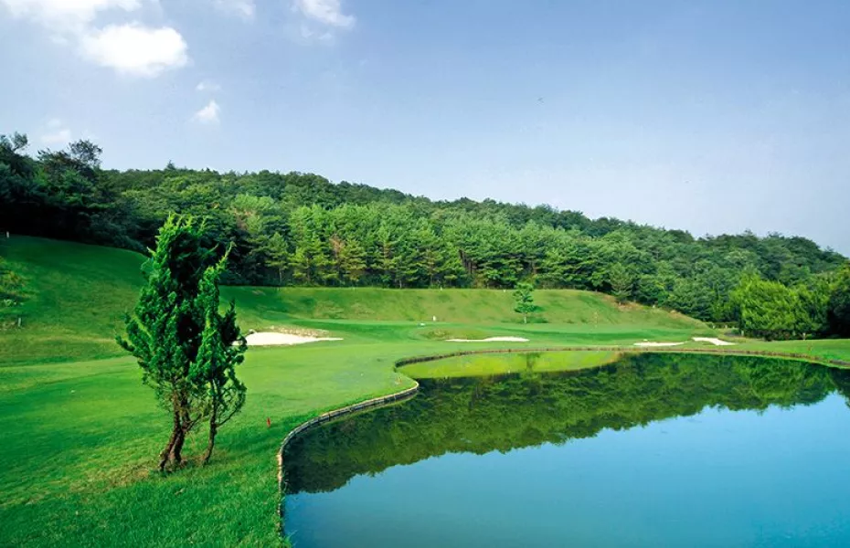 Ako International CC