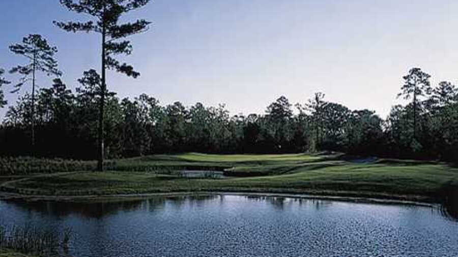 Eagle's Pointe GC: #8