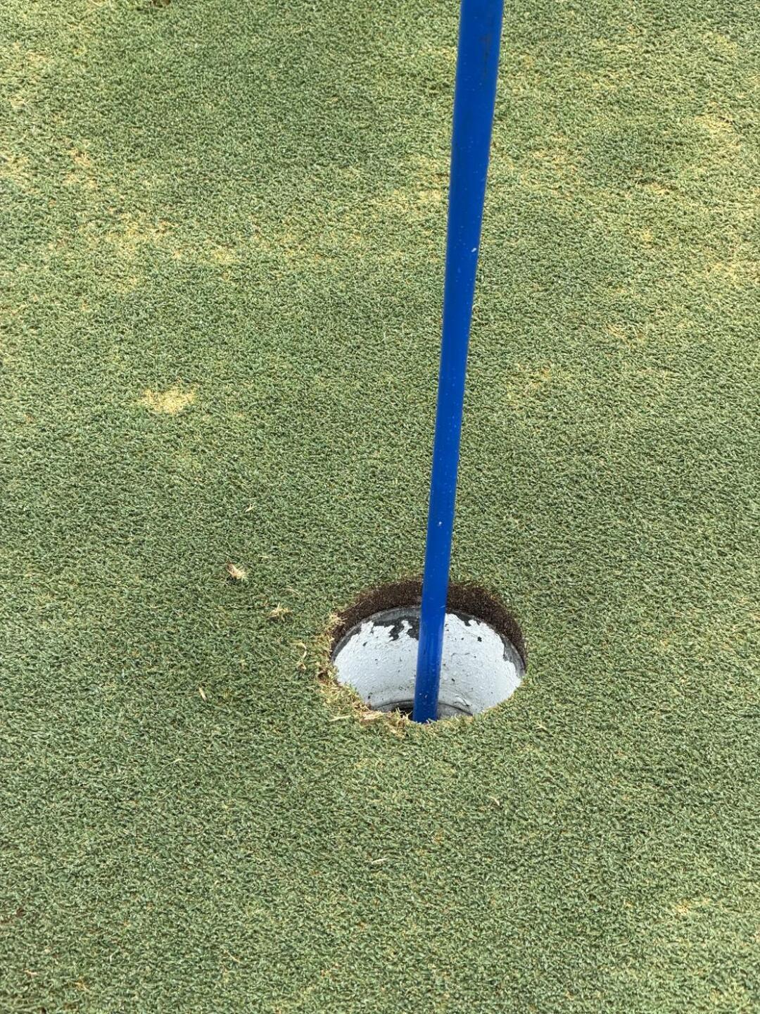 (Photo submitted by u314159701158 on 04/22/2026)