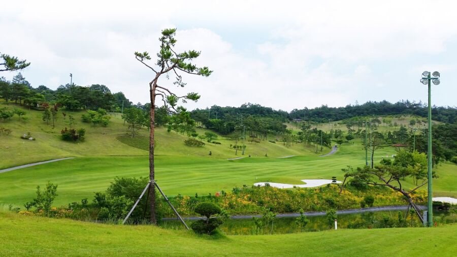Joavalley CC