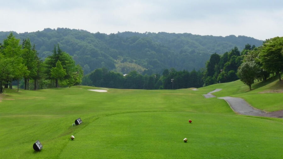 Nara Wakakusa CC - Wakakusa: #8