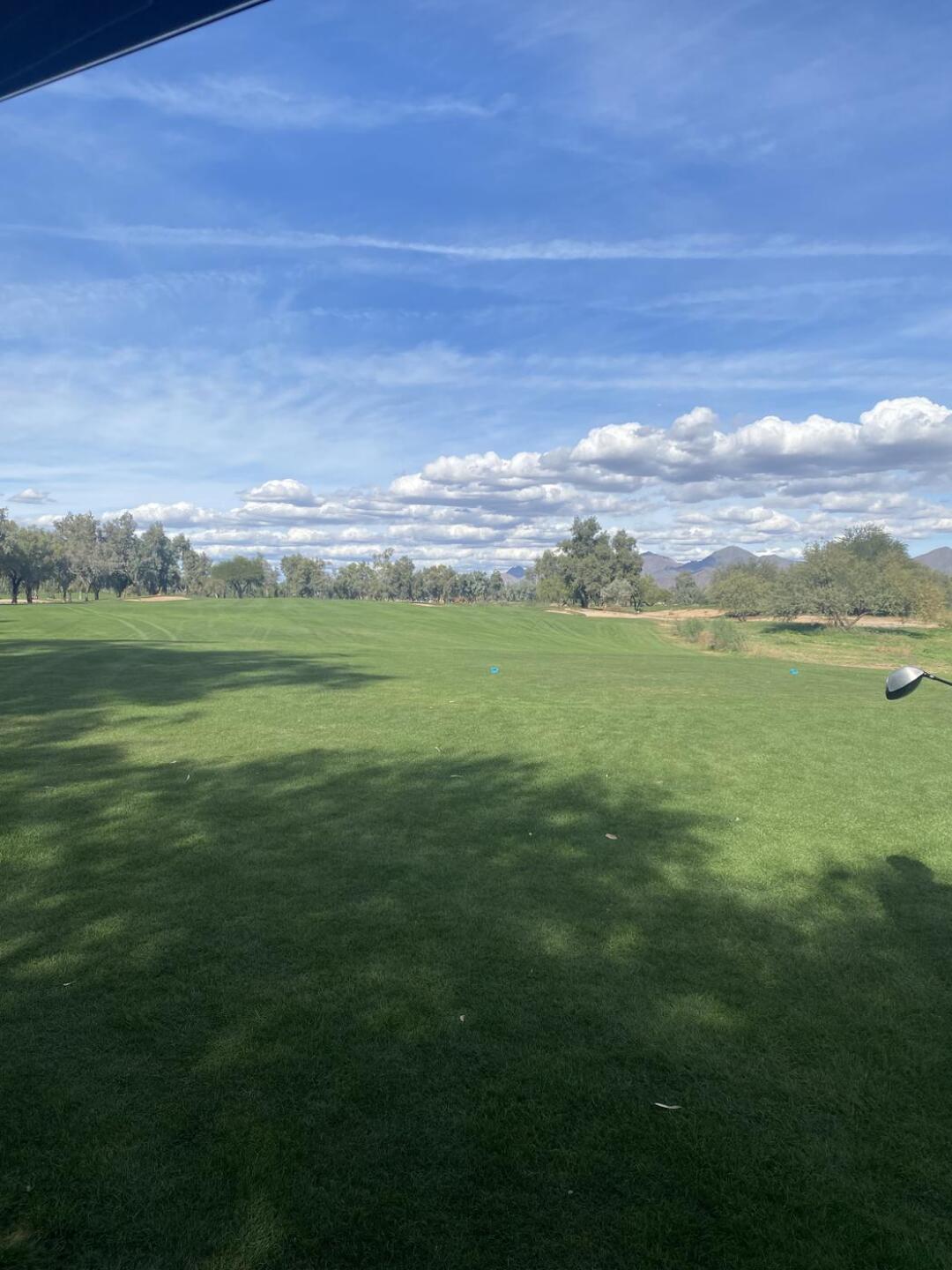 (Photo submitted by tOOtgOZhQKpnYOVkj2OT on 11/17/2025)