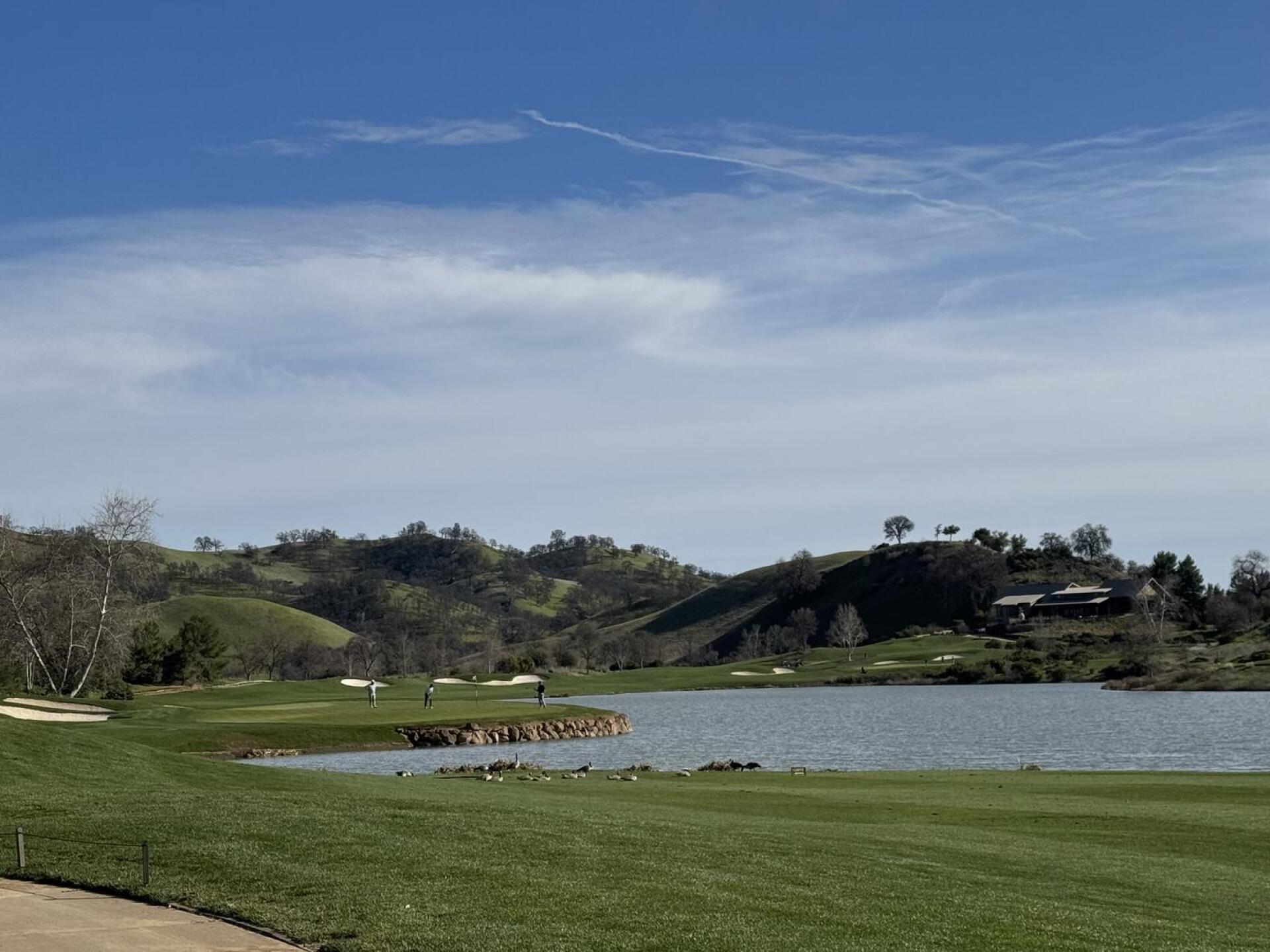 (Photo submitted by u192059544 on 02/16/2025)