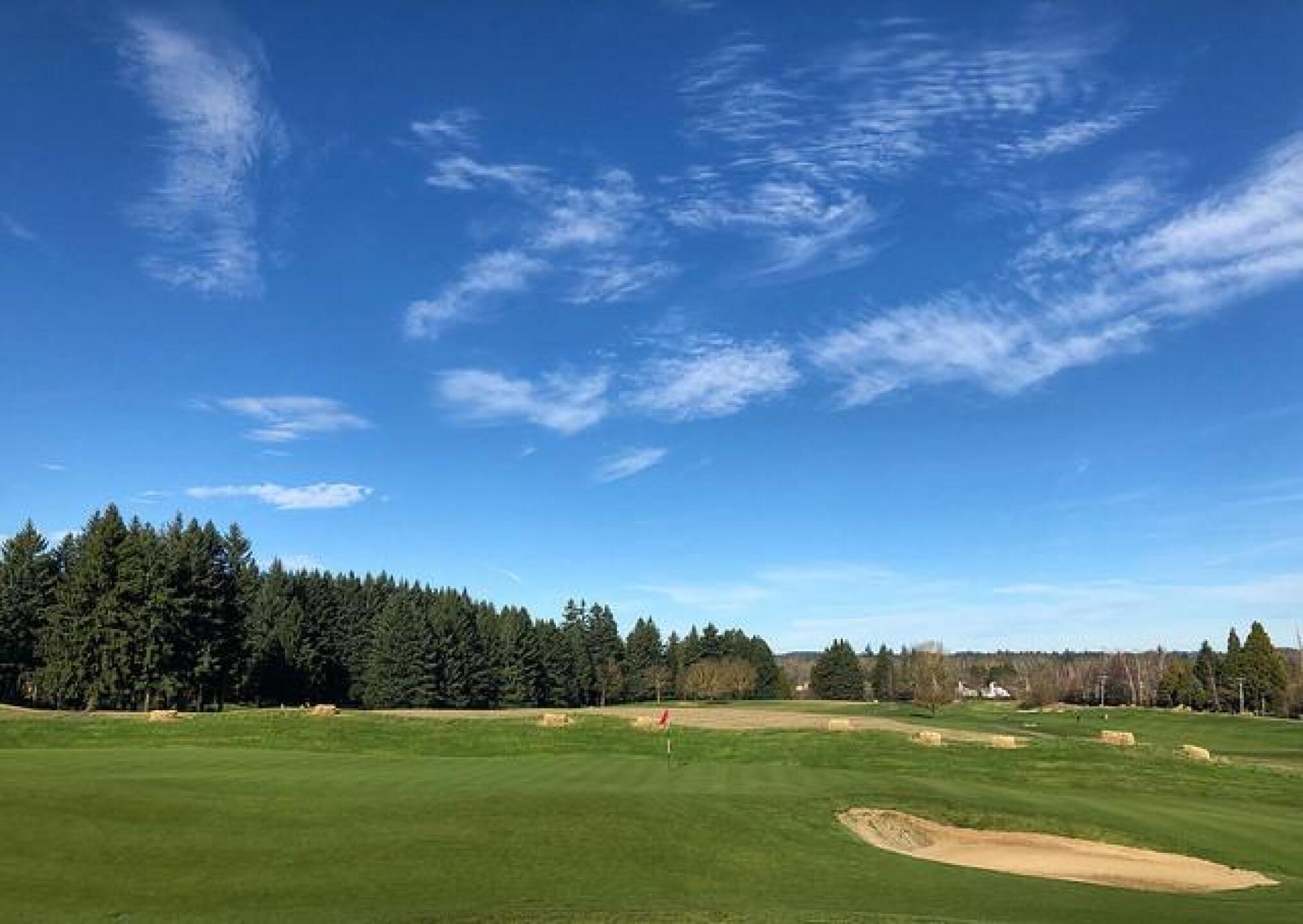 (Photo submitted by mscheelar on 01/17/2018)