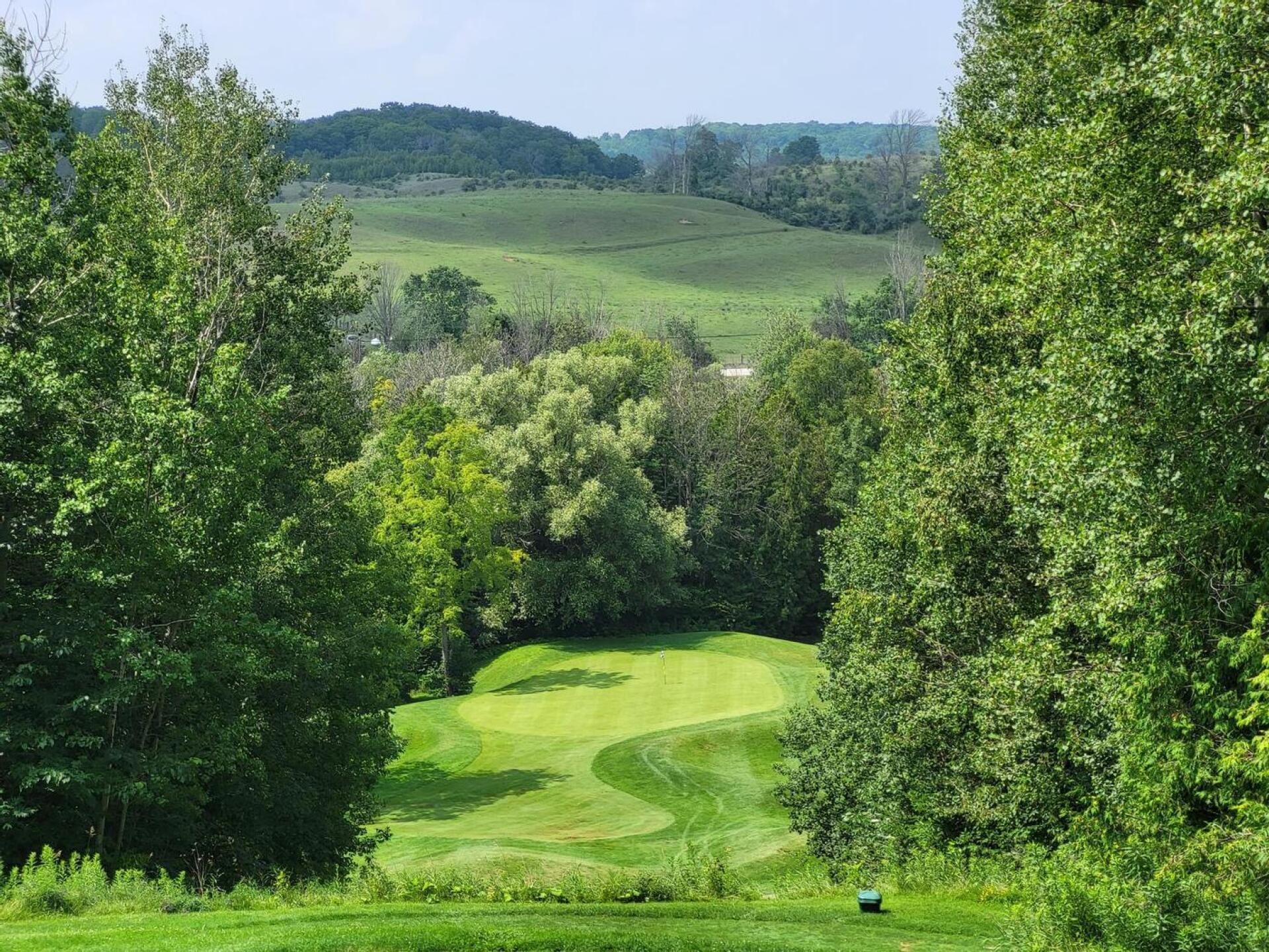 (Photo submitted by qvx24QKsrr3G31qtonTm on 07/25/2023)