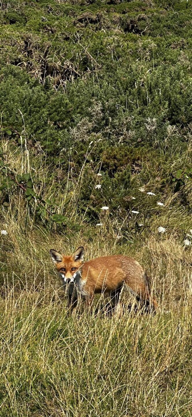 (Photo submitted by Matt3p0 on 08/11/2024)