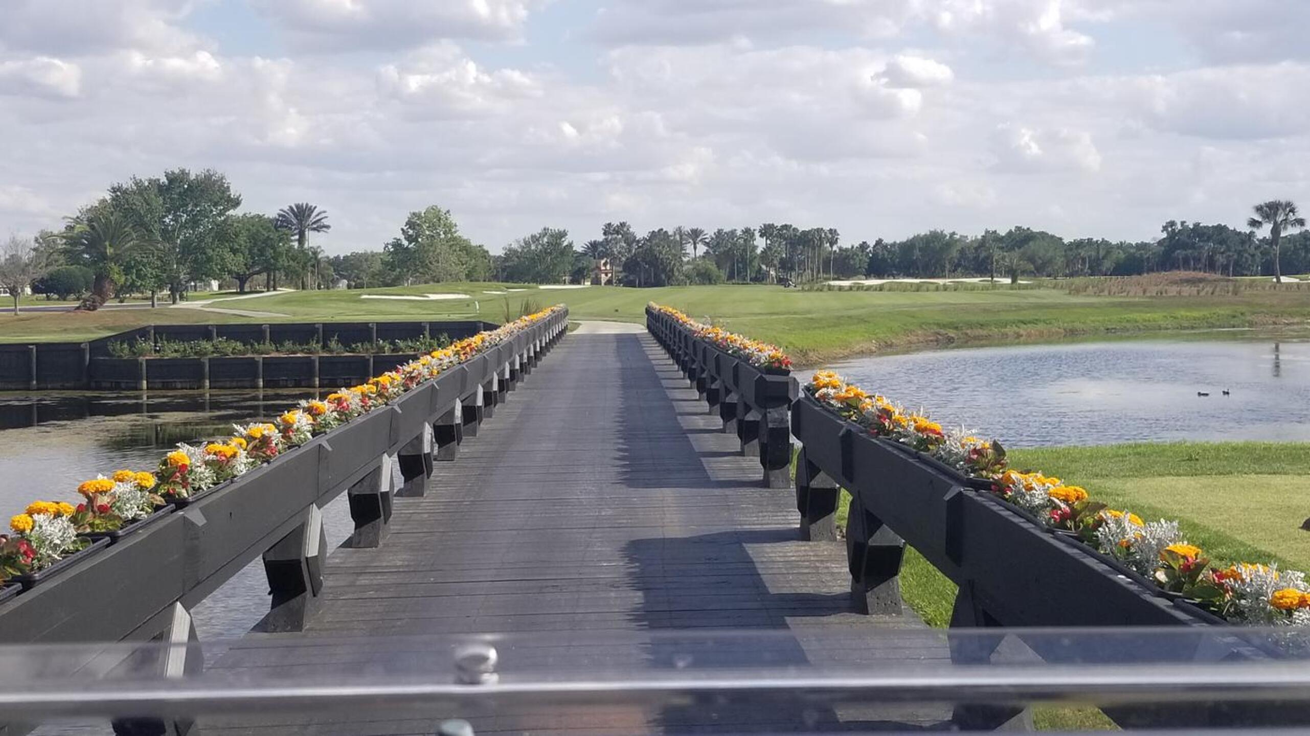 (Photo submitted by hxV5FfW16DltxvV2VHza on 03/26/2020)