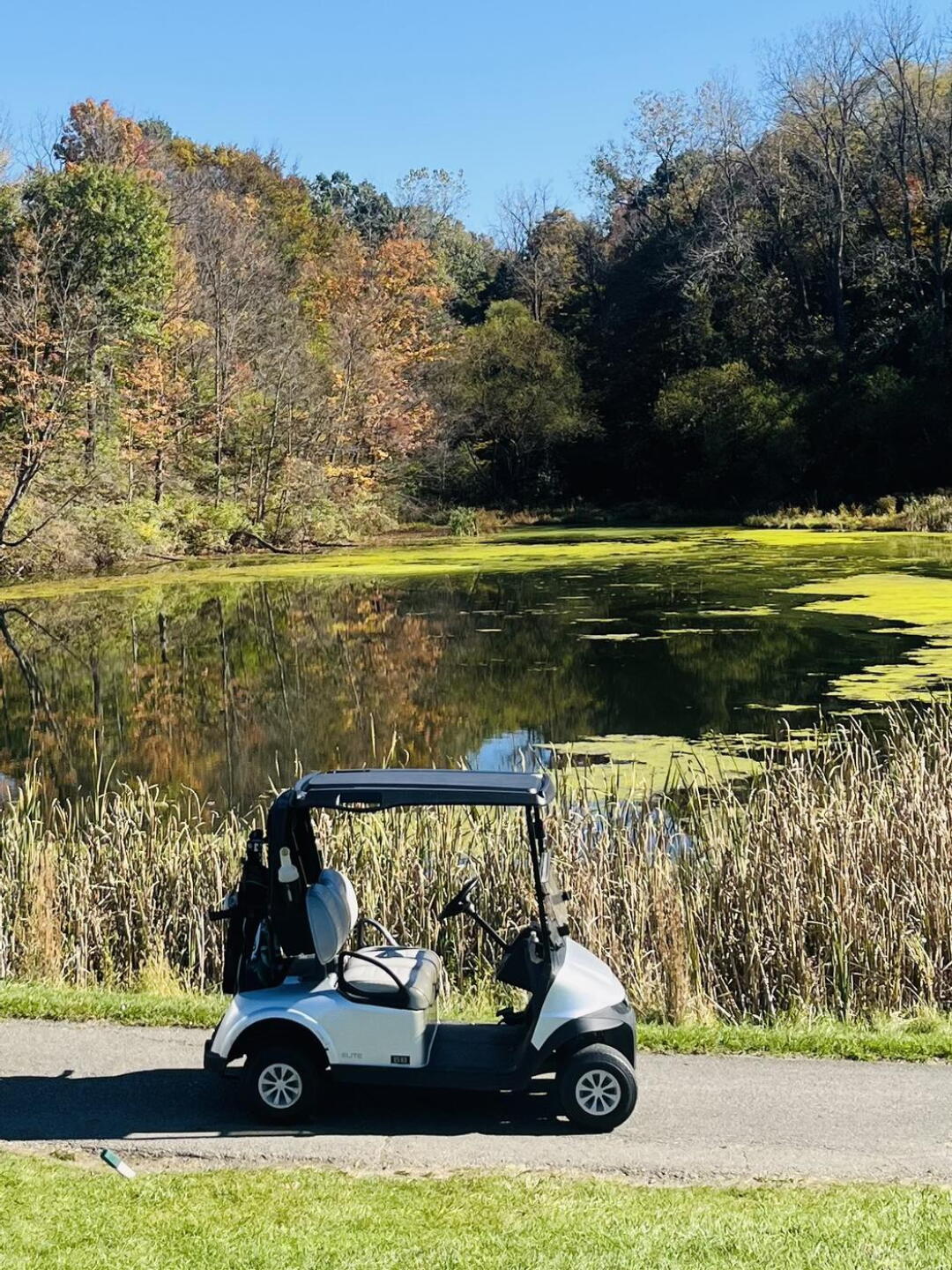 Gorgeous Fall Day (Photo submitted by Andyman8957360 on 10/20/2026)